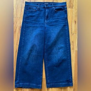 Banana Republic High rise wide leg crop 31 short